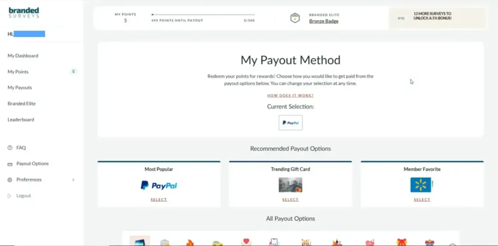 Branded Surveys Payment Methods Branded Surveys Payment Methods